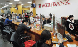 Lãi suất vay thế chấp sổ đỏ ngân hàng Agribank 2021