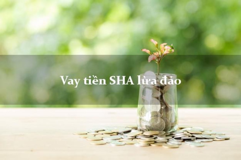 Vay tiền SHA có an toàn không? SHA lừa đảo?
